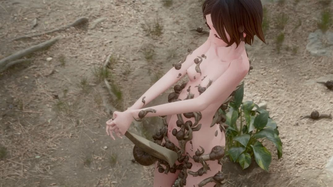 [コトリボックス] かたつむりとまいまい