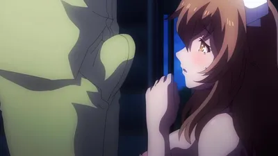 【熟肉】病棟 THE ANIMATION 第5巻 ～モチヅキ編～【附前作】